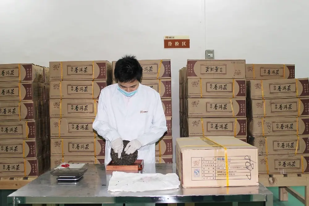 广东普洱茶检验展示